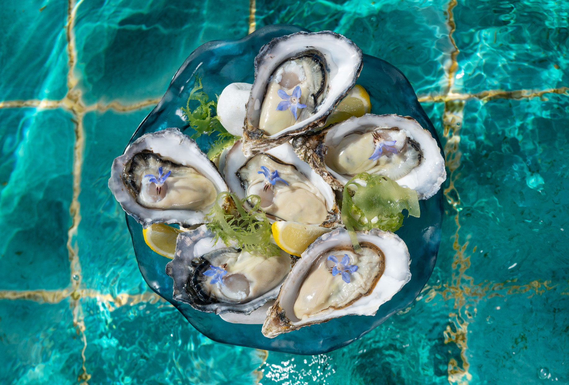 Fresh oysters at Skye the Rooftop Bar and Dining at the Park Lane Hong Kong, a Pullman Hotel